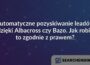 Automatyczne pozyskiwanie leadów dzięki Albacross czy Bazo. Jak robić to zgodnie z prawem?