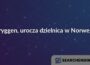 Bryggen, urocza dzielnica w Norwegii