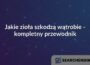 Jakie zioła szkodzą wątrobie - kompletny przewodnik