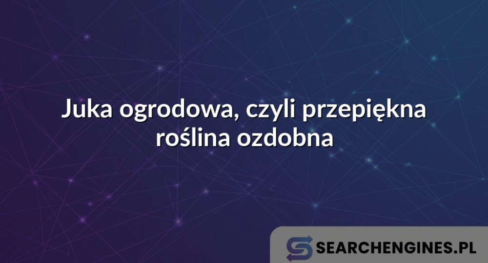 Juka ogrodowa, czyli przepiękna roślina ozdobna