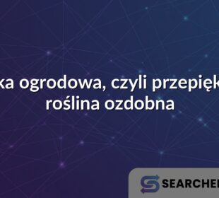 Juka ogrodowa, czyli przepiękna roślina ozdobna