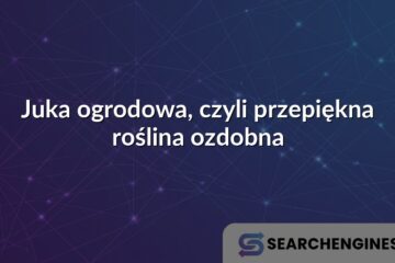 Juka ogrodowa, czyli przepiękna roślina ozdobna
