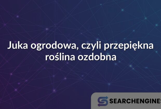 Juka ogrodowa, czyli przepiękna roślina ozdobna