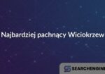 Najbardziej pachnący Wiciokrzew