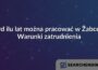Od ilu lat można pracować w Żabce? Warunki zatrudnienia