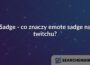 Sadge - co znaczy emote sadge na twitchu?
